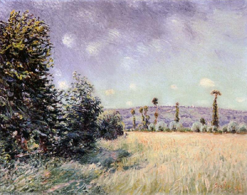 Alfred Sisley Sahurs Meadows in the Morning Sun oil painting picture